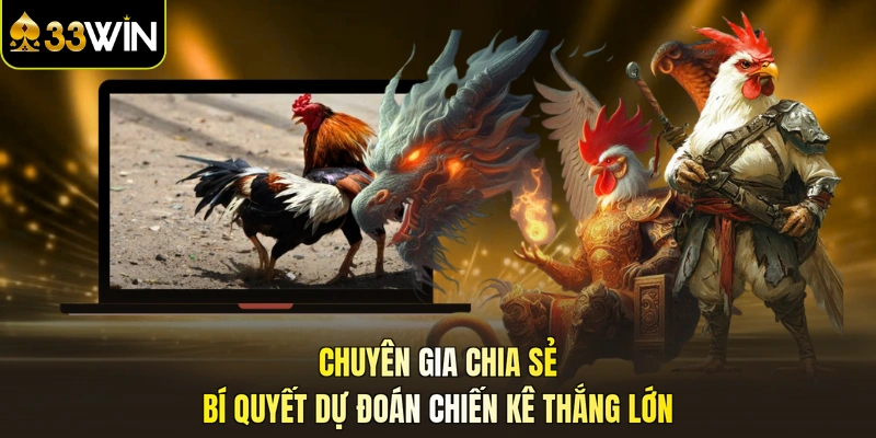 Chuyên gia chia sẻ bí quyết dự đoán chiến kê thắng lớn